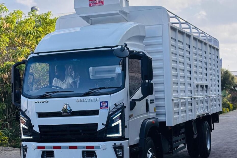 SINOTRUK HOWO Cargo Trucks