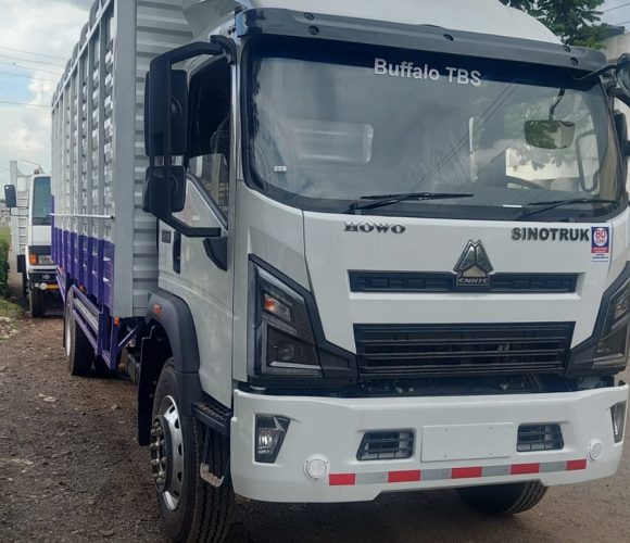 SINOTRUK HOWO Cargo Trucks
