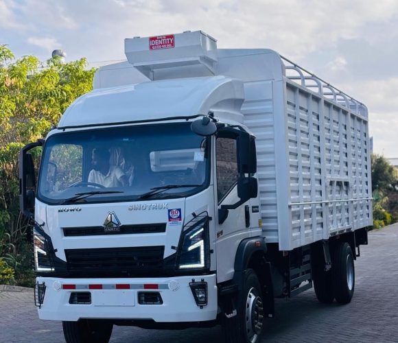 SINOTRUK HOWO Cargo Trucks